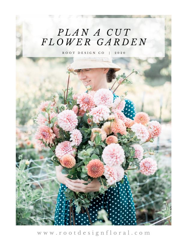 Cut Flower Garden Map Plan A Cut Flower Garden - Root Design Company