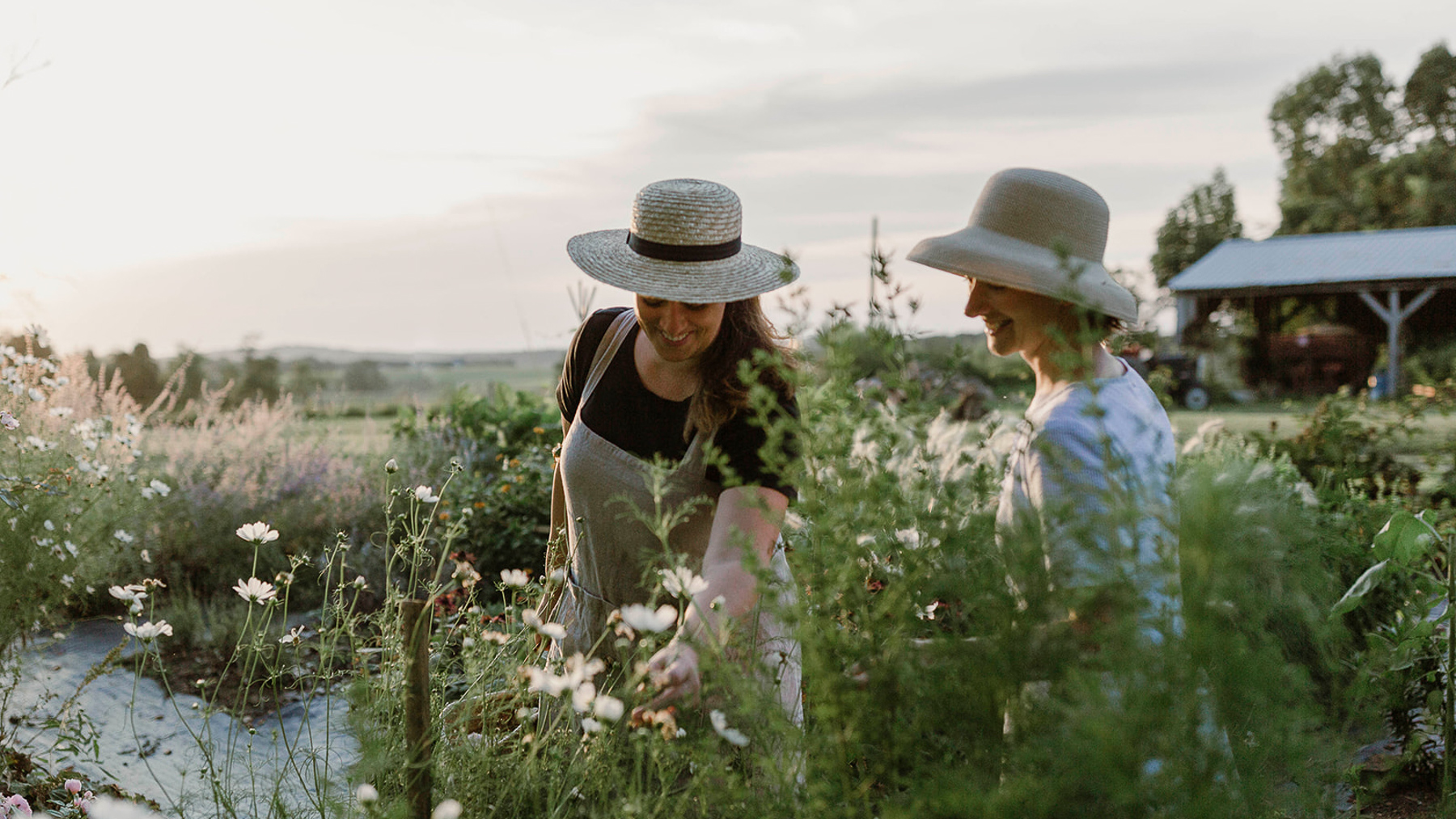 Root Design Company Side Hustle Garden